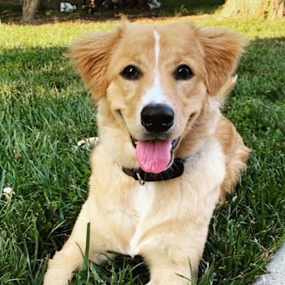 Posh Ambassador for Jane Iredale 🥰 - Picture 9 of 16